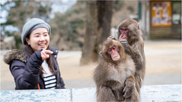 動物園